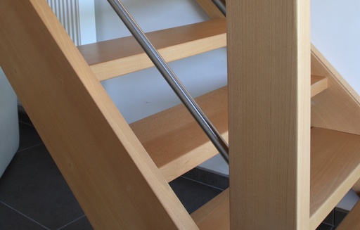 Straight Contemporary Staircase