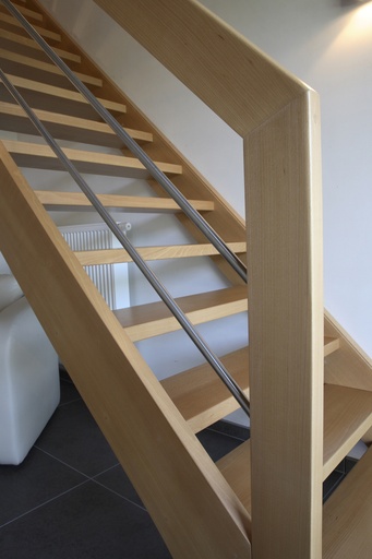 Straight Contemporary Staircase