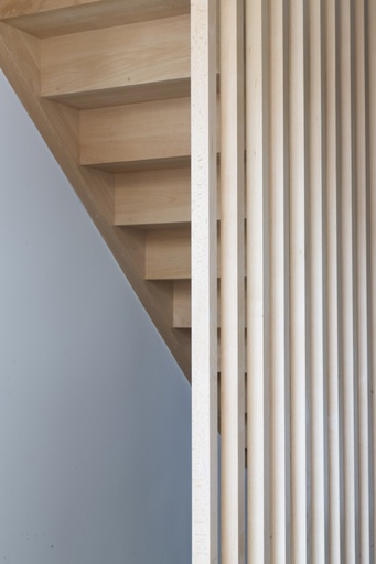 RF30-trap met Doorlopende Balustrade