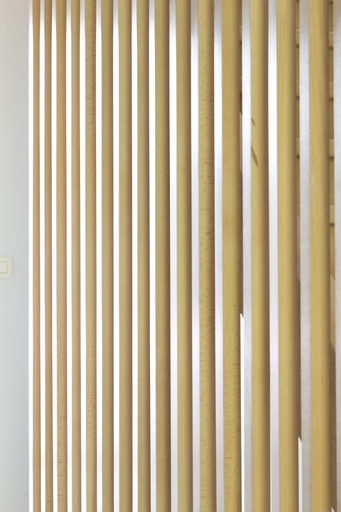 RF30-trap met Doorlopende Balustrade