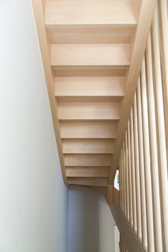 RF30-trap met Doorlopende Balustrade