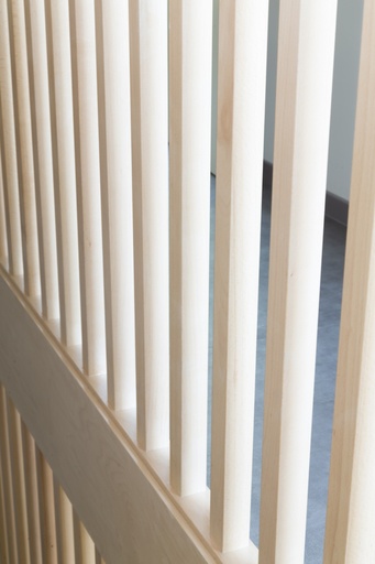 RF30-trap met Doorlopende Balustrade