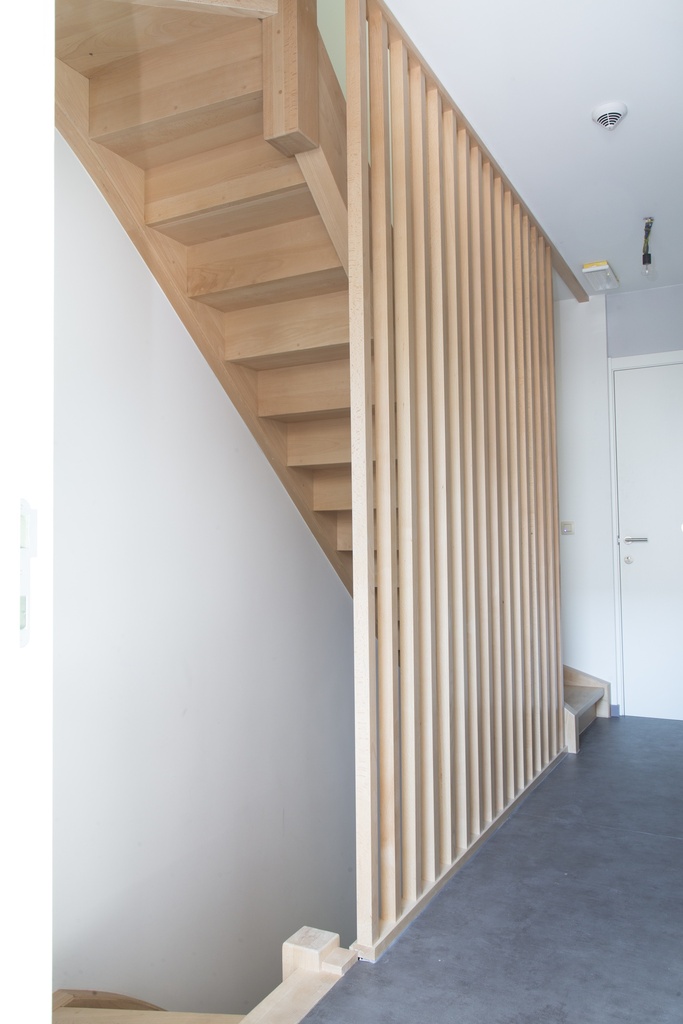 RF30-trap met Doorlopende Balustrade