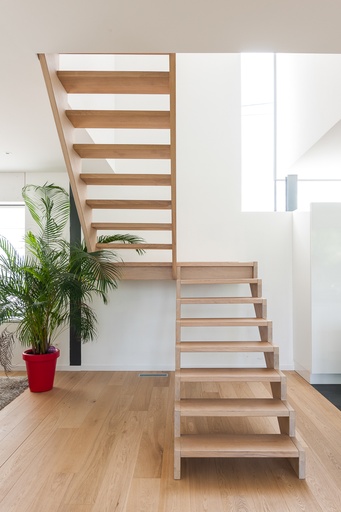 [1077] Escalier à limons sciés